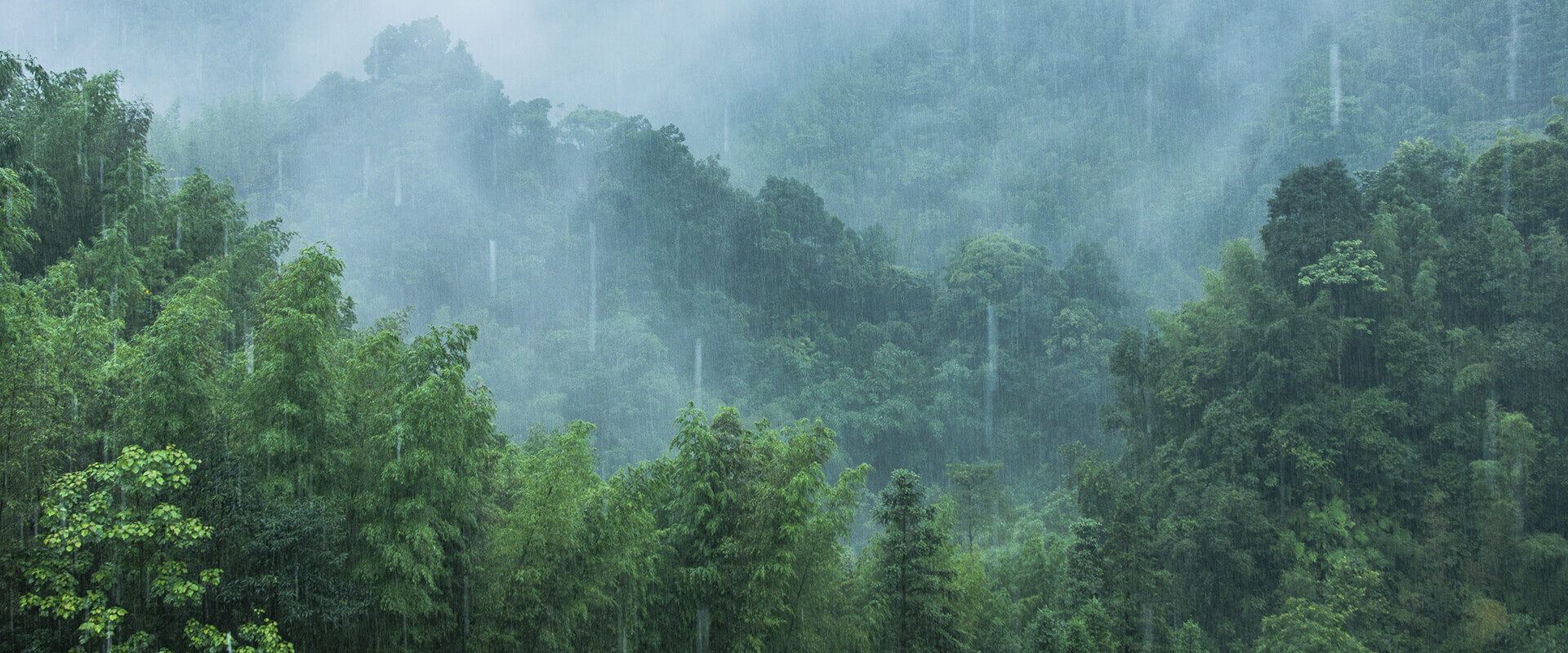 environment-banner.jpg